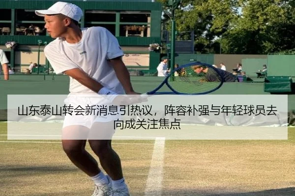 山东泰山转会新消息引热议，阵容补强与年轻球员去向成关注焦点
